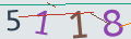 verifycode